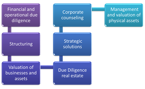 Due Diligencie Methodology