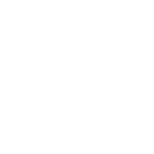 announcement icon